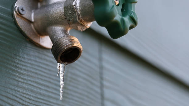 Best Leak Detection Services  in Bridgeport, AL