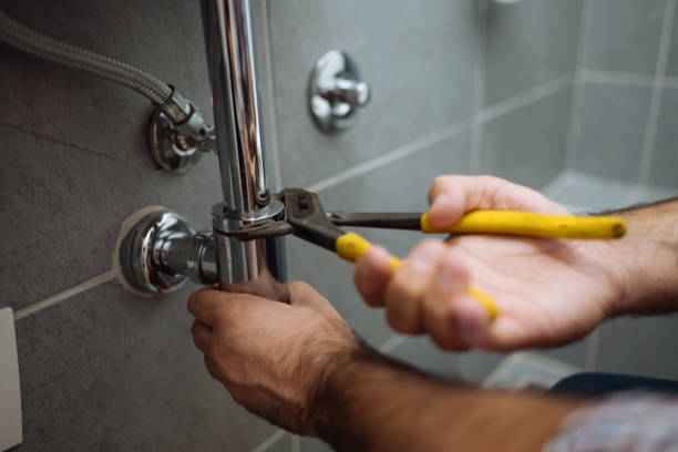 Best Sewer Line Replacement  in Bridgeport, AL