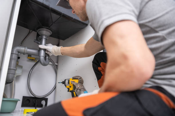 Best Clogged Drain Plumber  in Bridgeport, AL